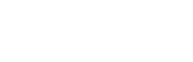 NAVIS CONSULT